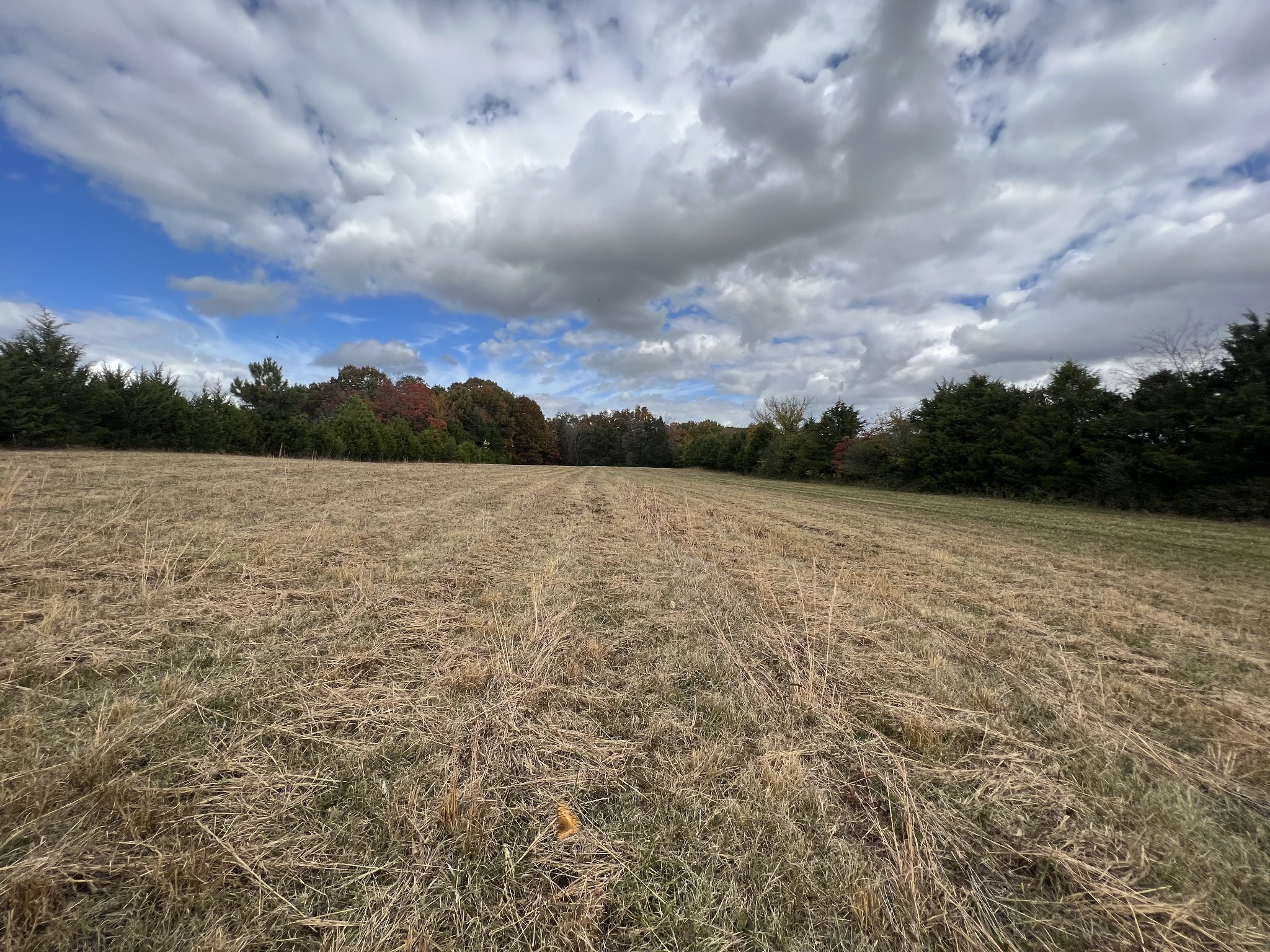 2749 Sims Road Shelbyville, TN 37160 - Photo 23 of 33 Gallery Image 23