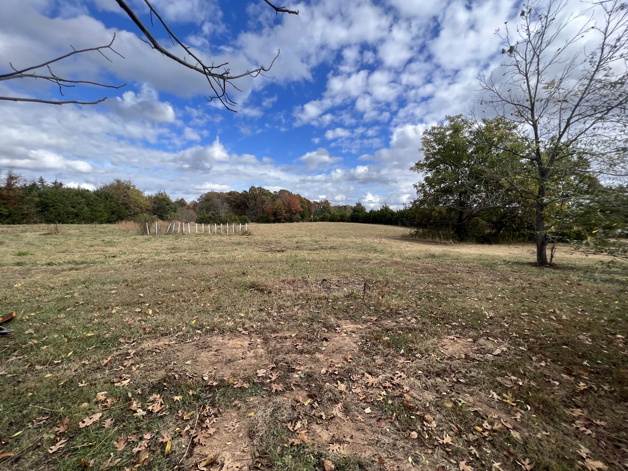2749 Sims Road Shelbyville, TN 37160 - Photo 6 of 33 Gallery Image 6