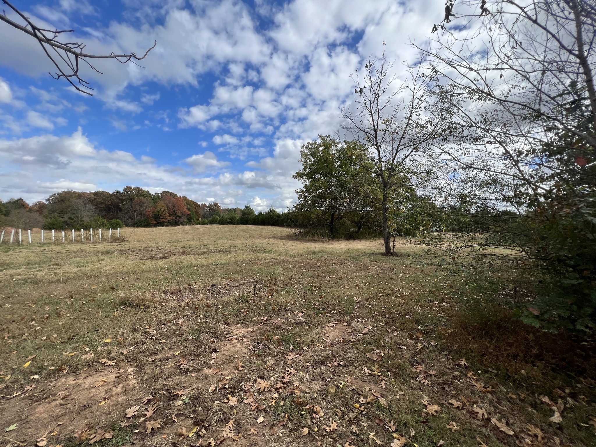 2749 Sims Road Shelbyville, TN 37160 - Photo 7 of 33 Gallery Image 7