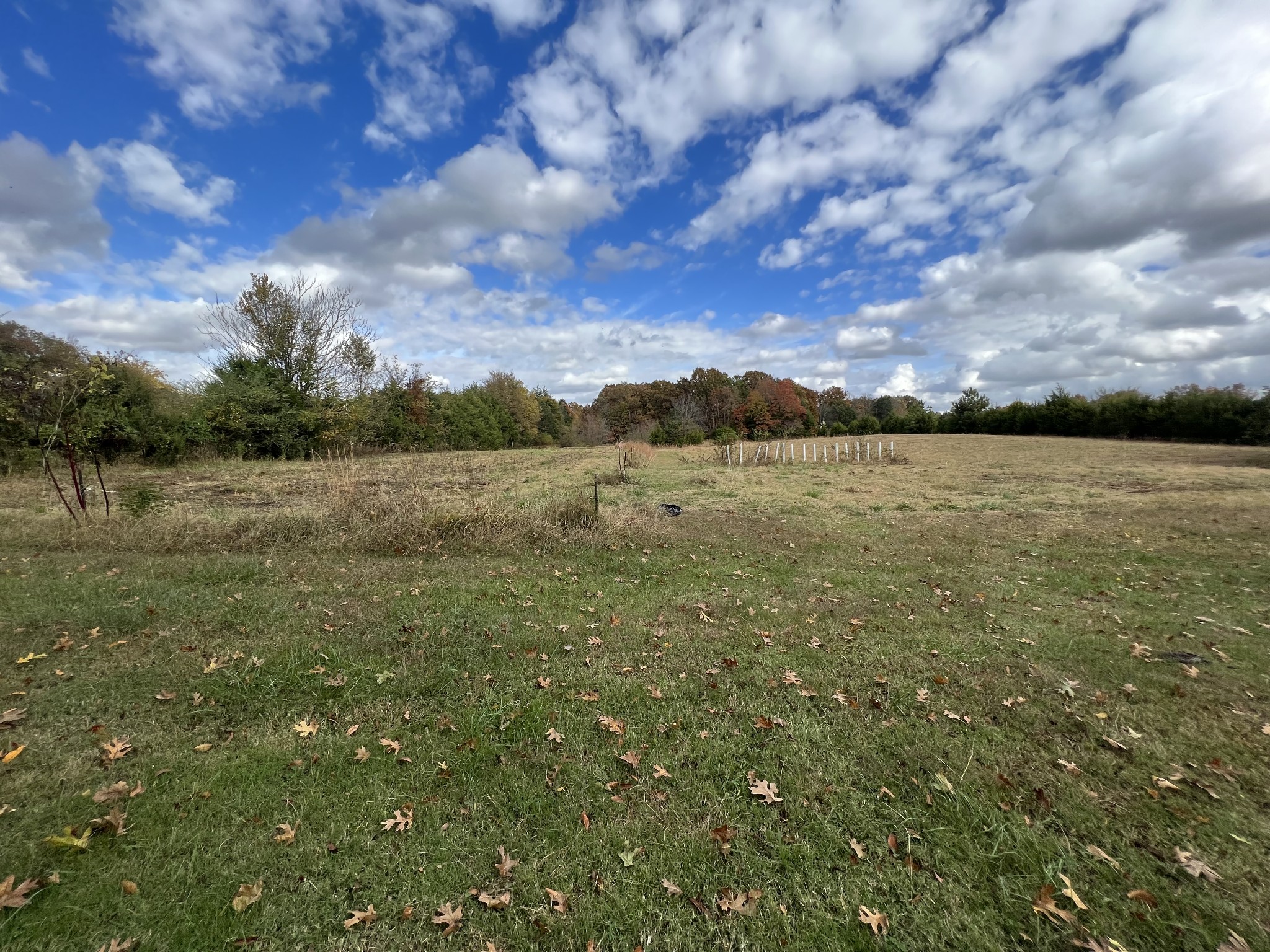 2749 Sims Road Shelbyville, TN 37160 - Photo 8 of 33 Gallery Image 8