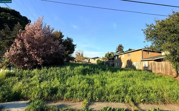a view of a back yard
