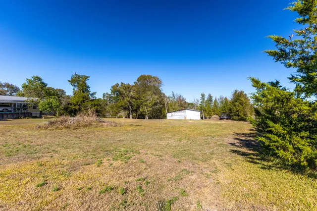 a view of a large yard with large trees