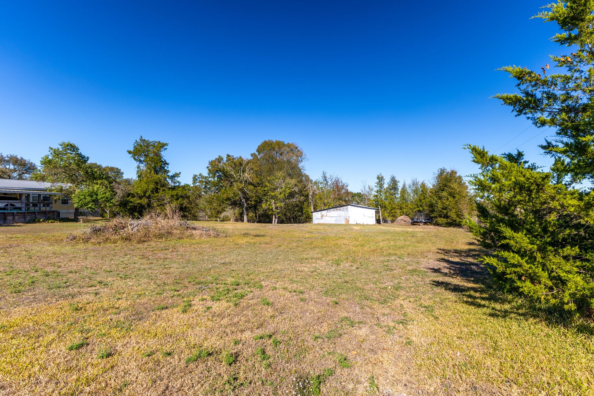 8103 Adamek Road Brenham, TX 77833 - Photo 34 of 42 a view of a yard with an trees
