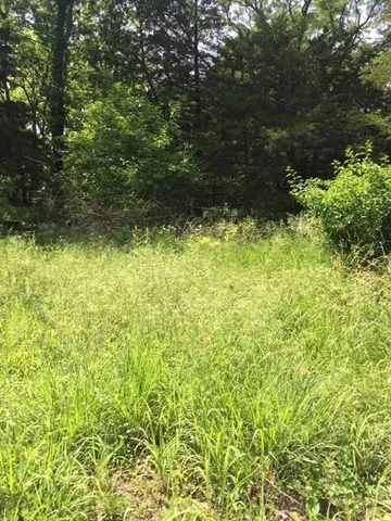 $26,000 | 26 Meadow 6 Lots Lane, Mound City, KS 66056