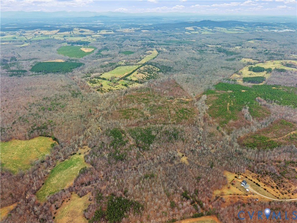 80.70-acres Kendall Road Orange, VA 22960 - Photo 20 of 21 Expansive land parcel featuring diverse tree cover
