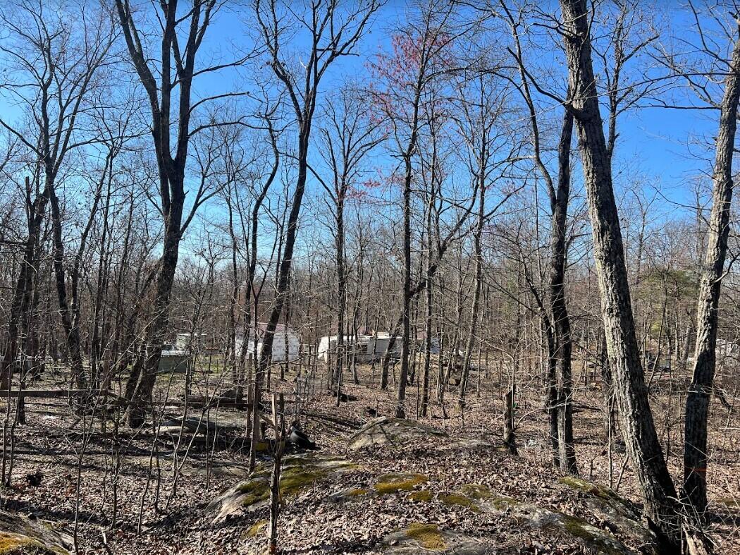 658 Raccoon Ridge Road Spring City, TN 37381 - Photo 5 of 14 RR5