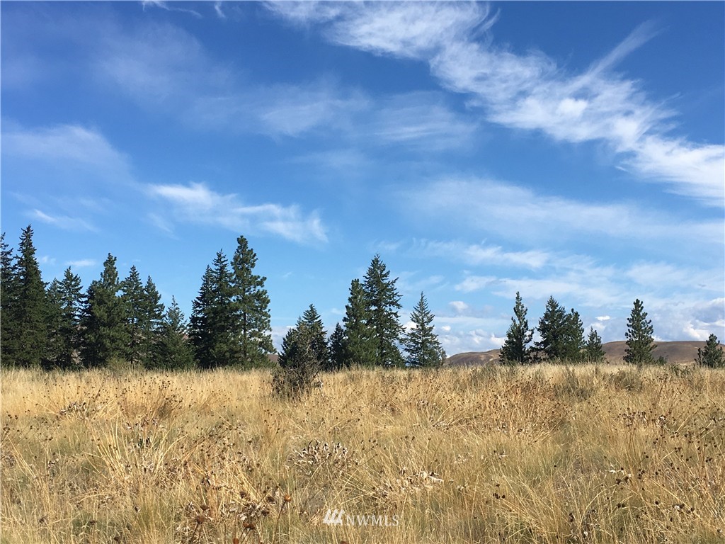0 Elbow Canyon Road Twisp, WA 98856 - Photo 14 of 19 Gallery Image 14