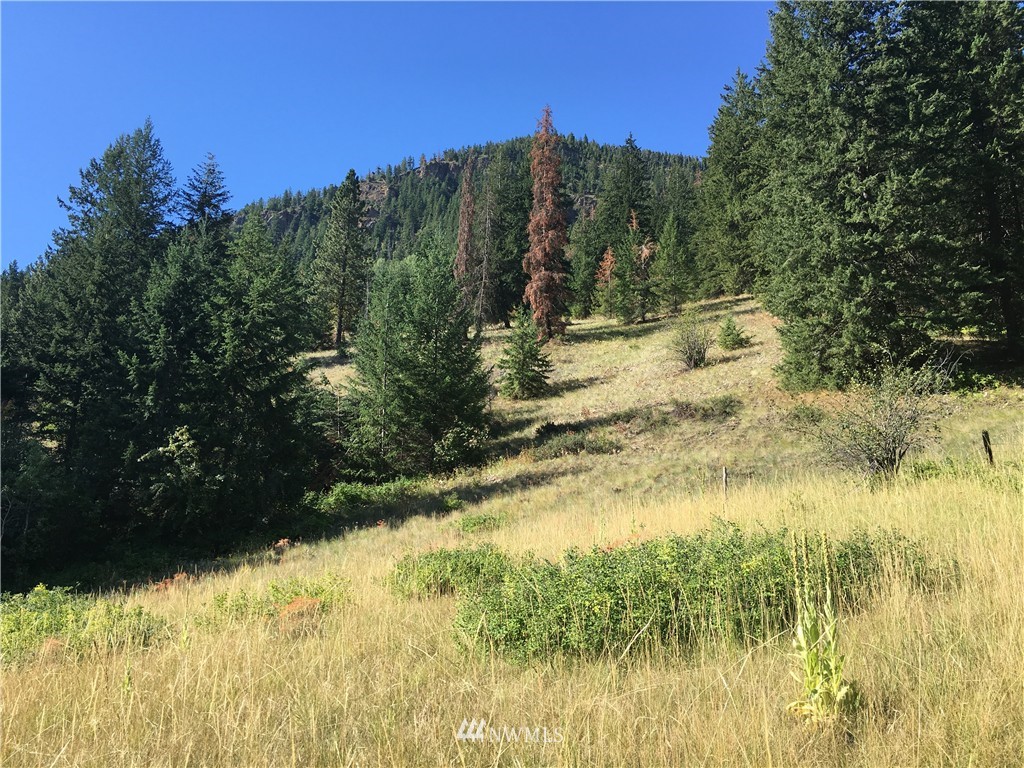 0 Elbow Canyon Road Twisp, WA 98856 - Photo 8 of 19 Gallery Image 8