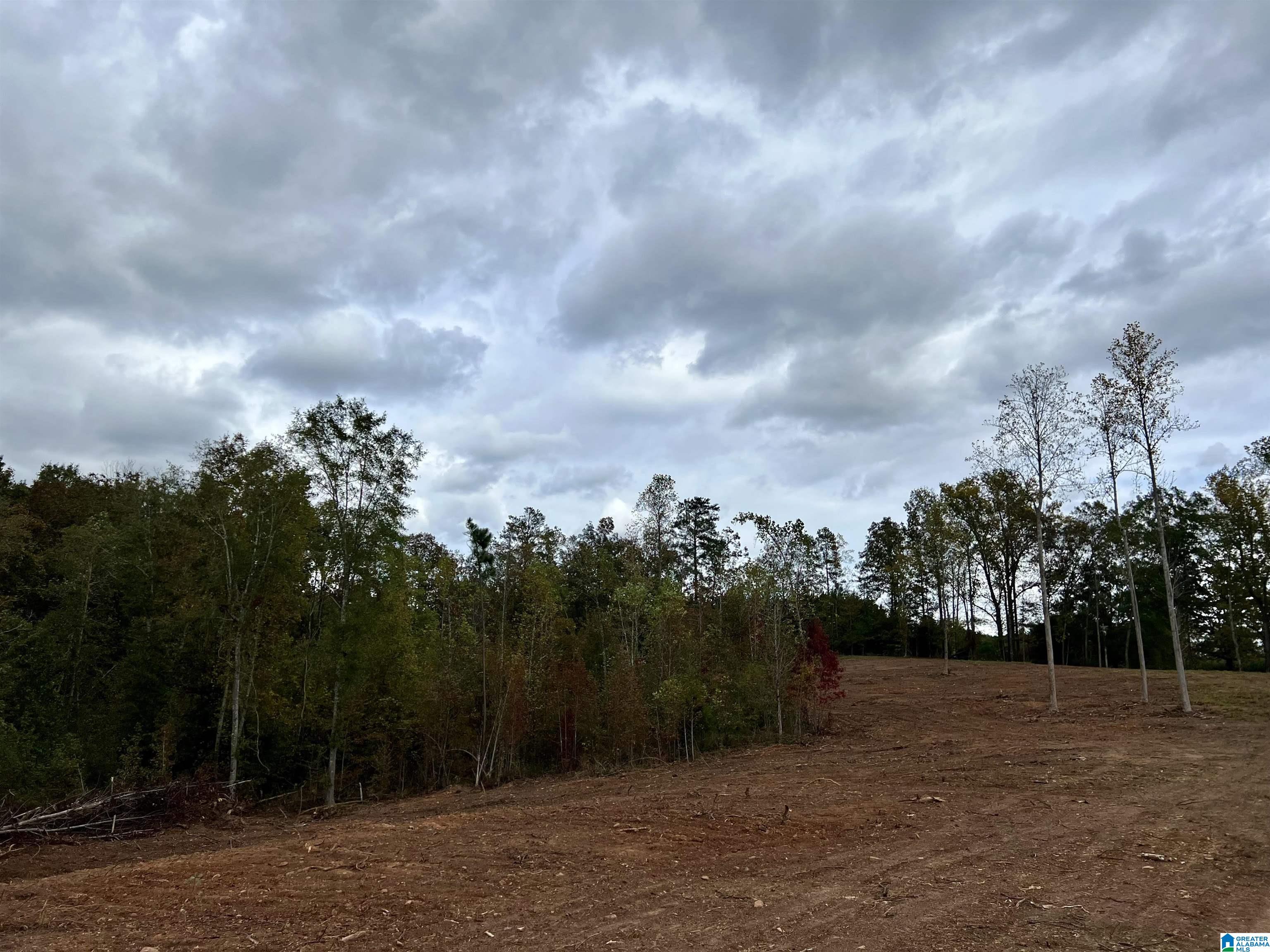 0 County Road 4 Wedowee, AL 36278 - Photo 18 of 24