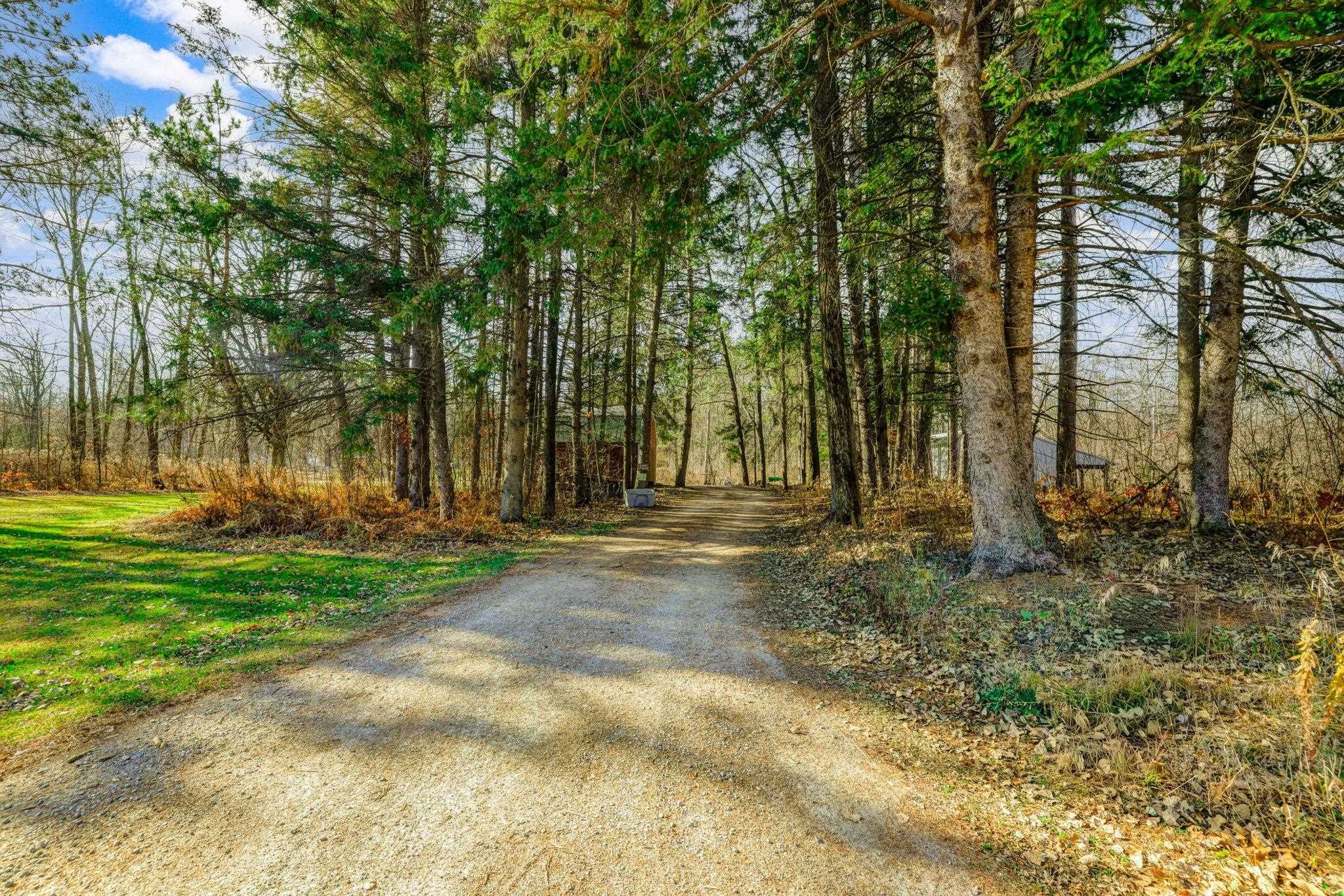 N255 Lessor Navarino Road Bonduel, WI 54107 - Photo 69 of 89