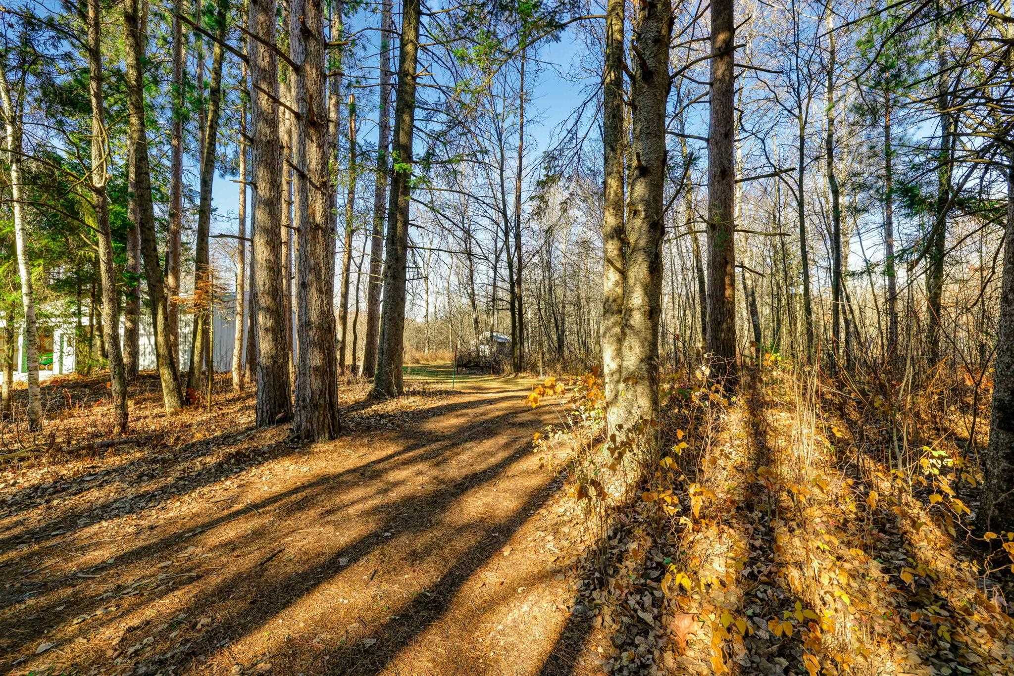 N255 Lessor Navarino Road Bonduel, WI 54107 - Photo 70 of 89