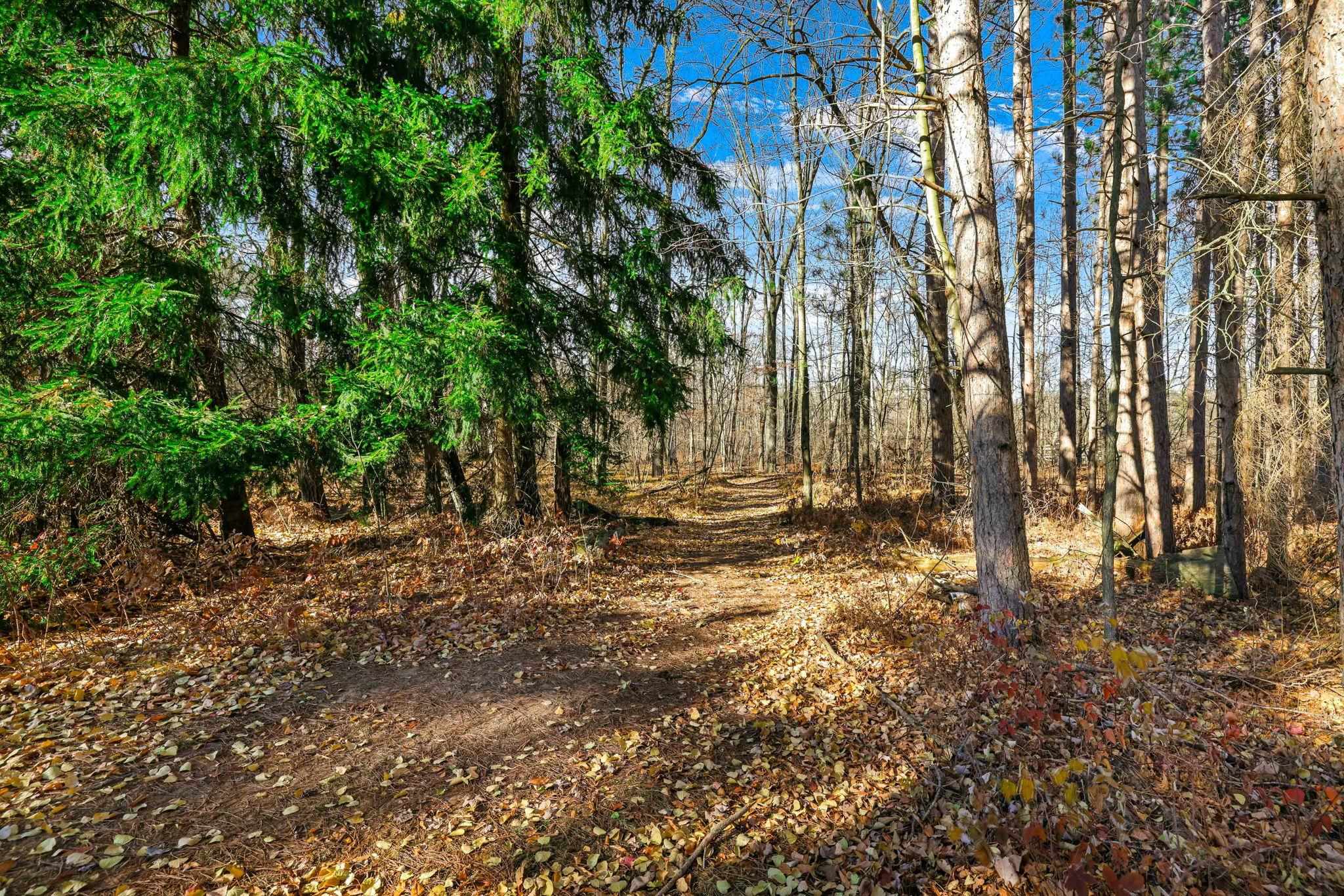 N255 Lessor Navarino Road Bonduel, WI 54107 - Photo 77 of 89