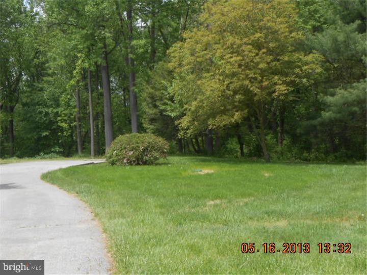 Side Yard