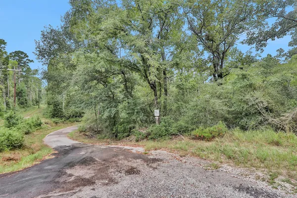 a view of a forest with trees in the background