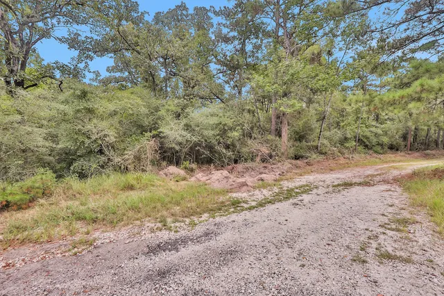 a view of a yard with a tree