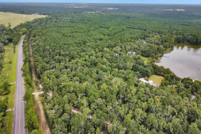 a view of a forest with a houses