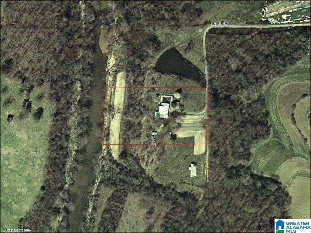 268 Morris Road Blountsville, AL 35031 - Photo 4 of 5
