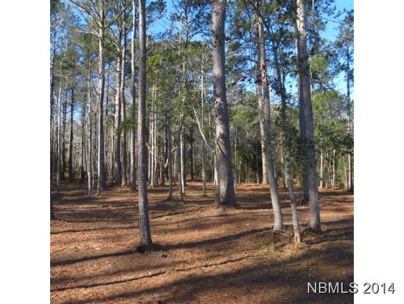 1191 Fork Point Road Oriental, NC 28571 - Photo 11 of 11 Additional Photo