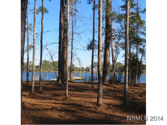1191 Fork Point Road Oriental, NC 28571 - Photo 4 of 11 Additional Photo