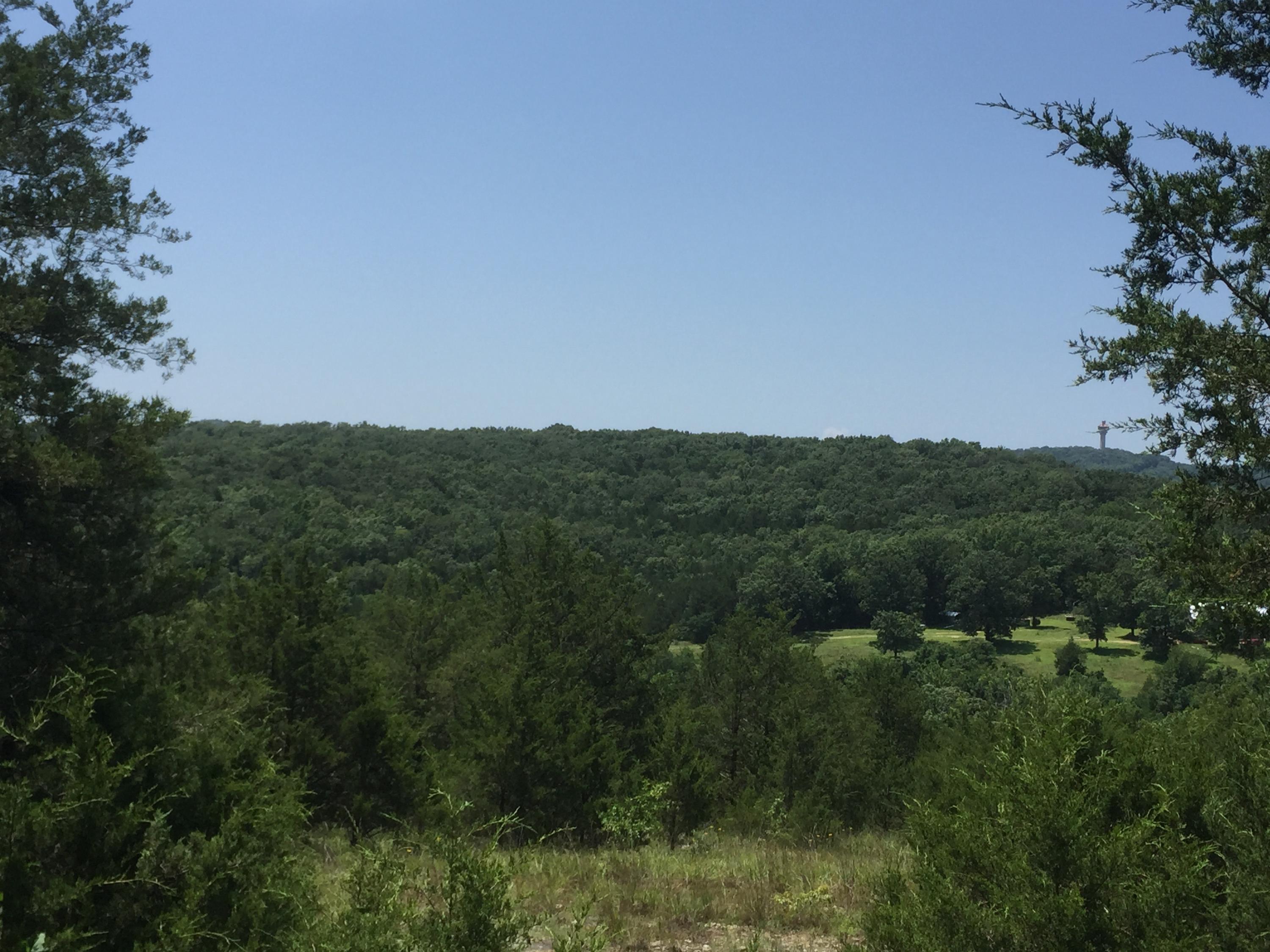 Mills Hollow