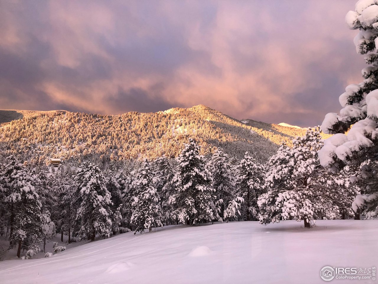 293 Broken Fence Road Boulder, CO 80302 - Photo 37 of 40 Wintertime Splendor