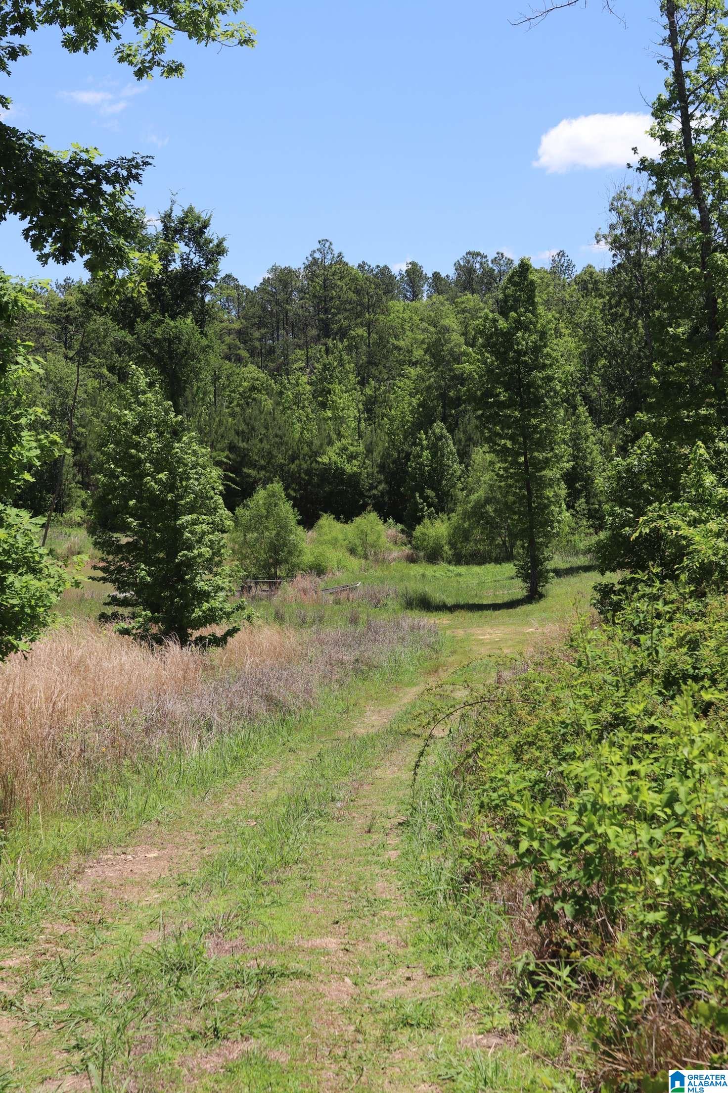 2930 Shocco Springs Road Talladega, AL 35160 - Photo 74 of 93