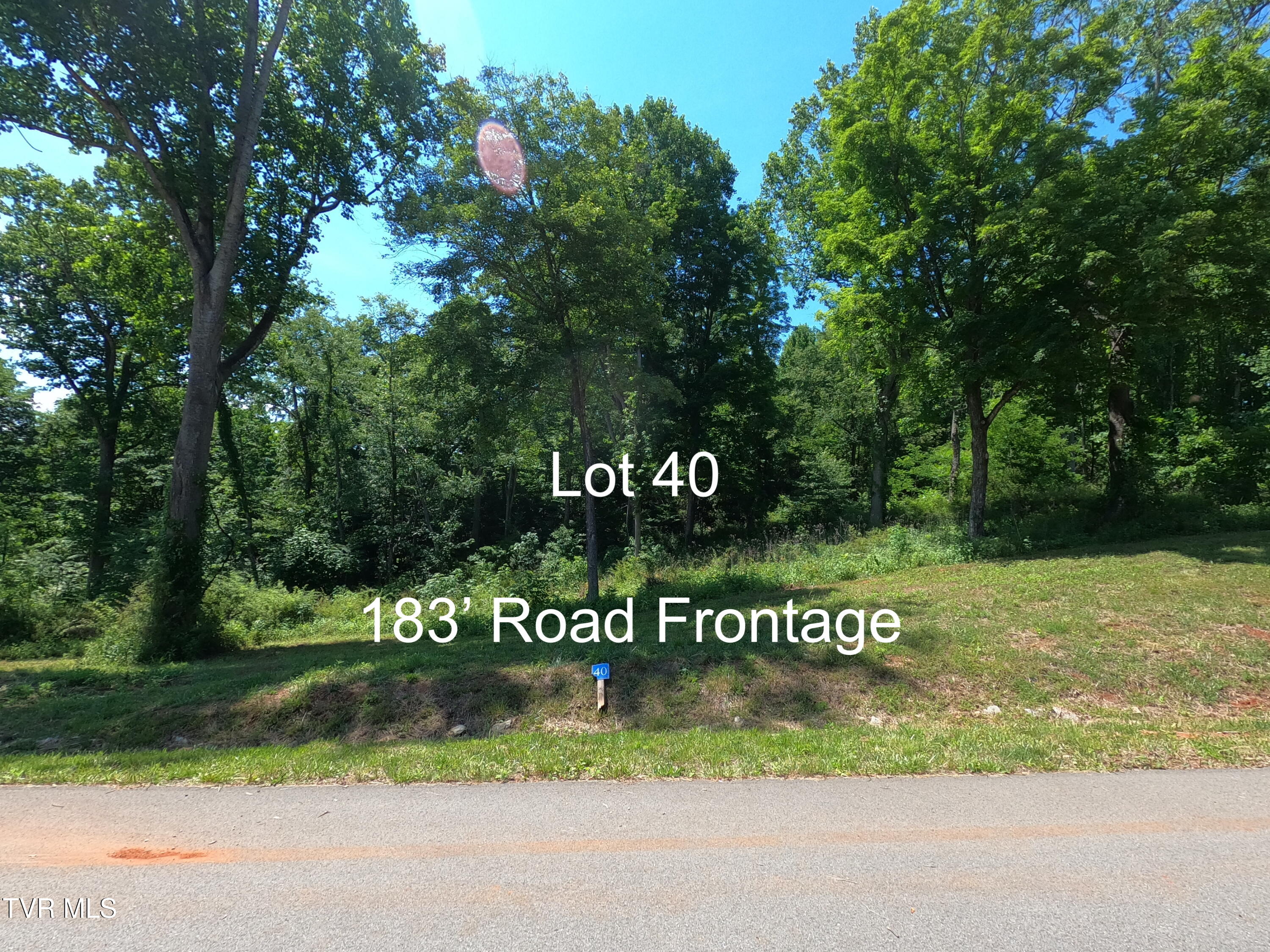 Lot 40 Cowan Town Road, Unit 40 Butler, TN 37640 - Photo 1 of 117 GOPR4020