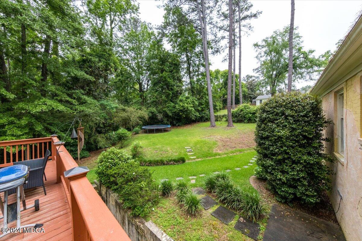 223 Idle Wild Road Macon, GA 31210 - Photo 24 of 28 02-DSCF1048