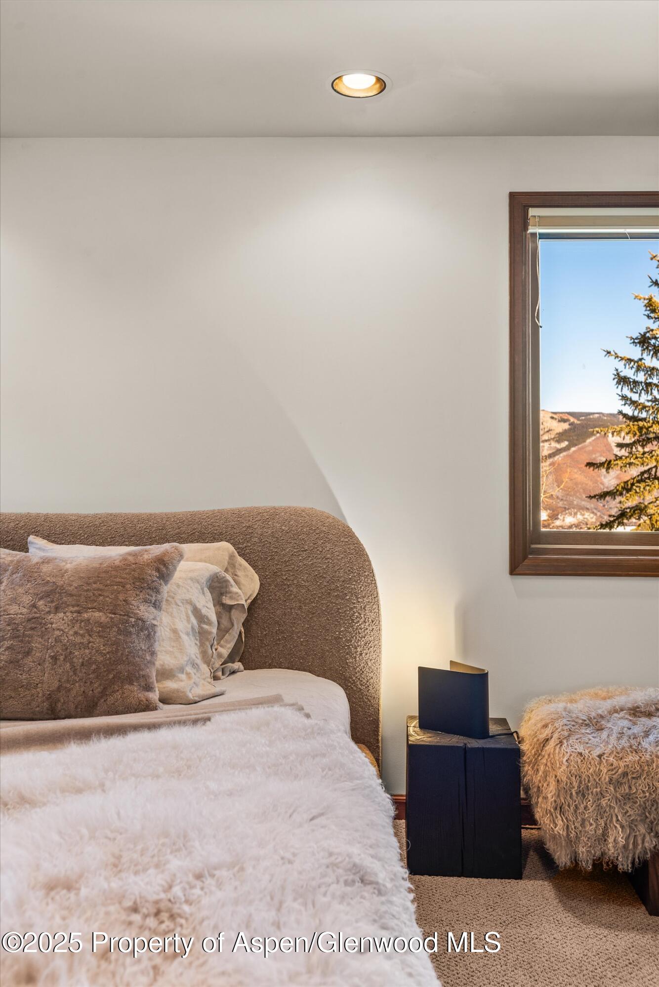 2227 Juniper Hill Road Aspen, CO 81611 - Photo 23 of 40 a bedroom with a bed and couch