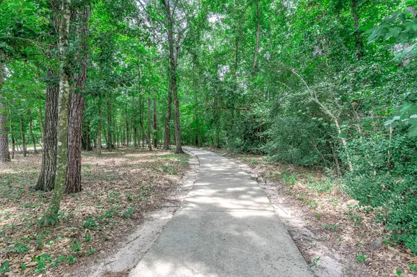 a view of outdoor space and trees