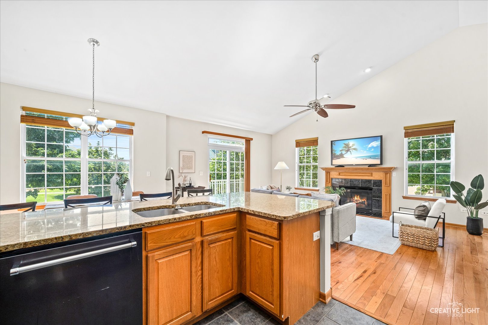 906 Neudearborn Lane Naperville, IL 60563 - Photo 9 of 27