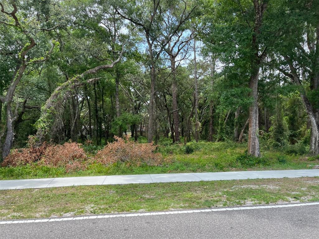 12120 Hicks Road Hudson, FL 34669 - Photo 6 of 6 a view of a garden with a small yard