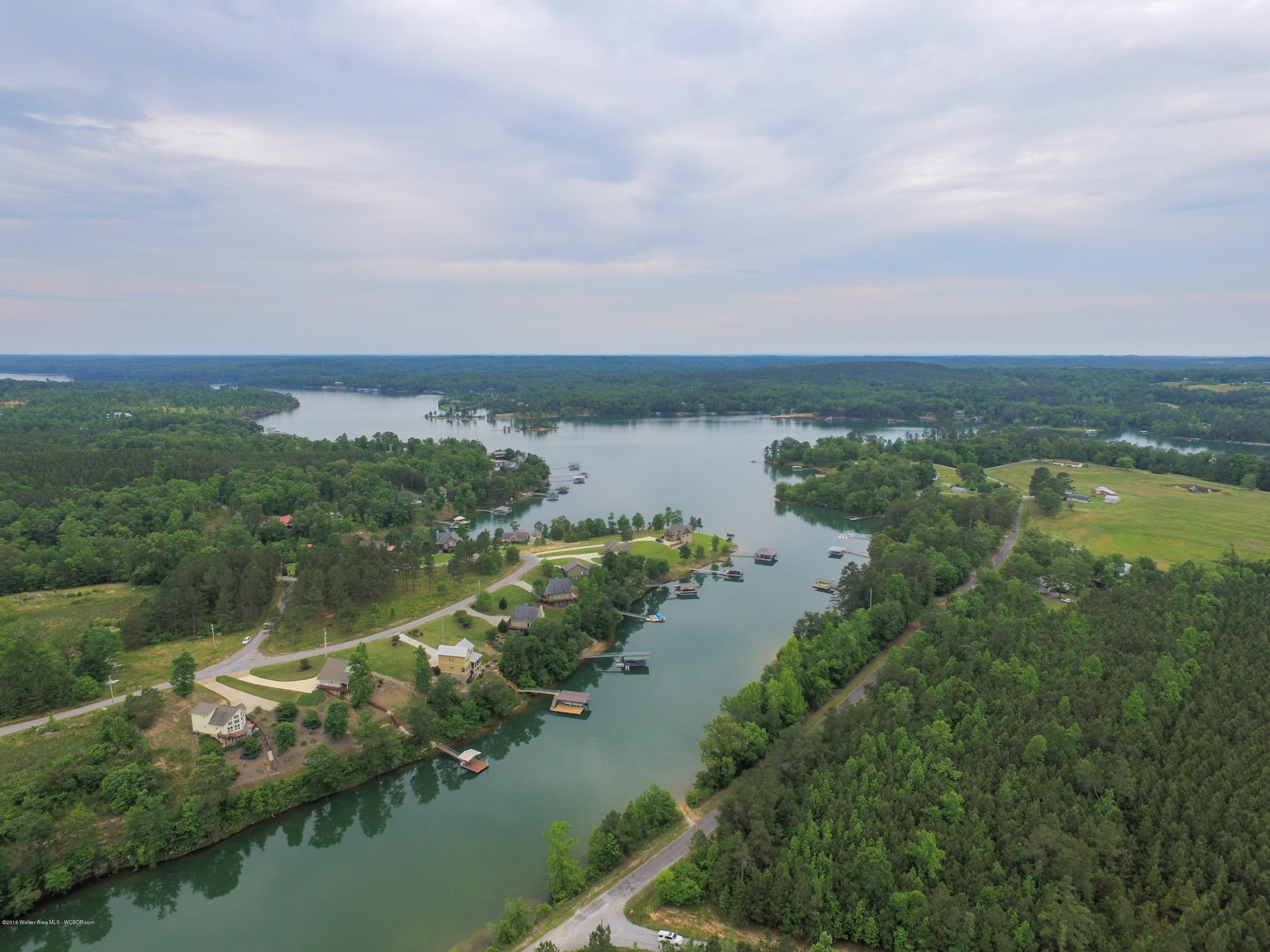 118 Rockshore Pt Drive Arley, AL 35541 - Photo 4 of 30 Gallery Image 4