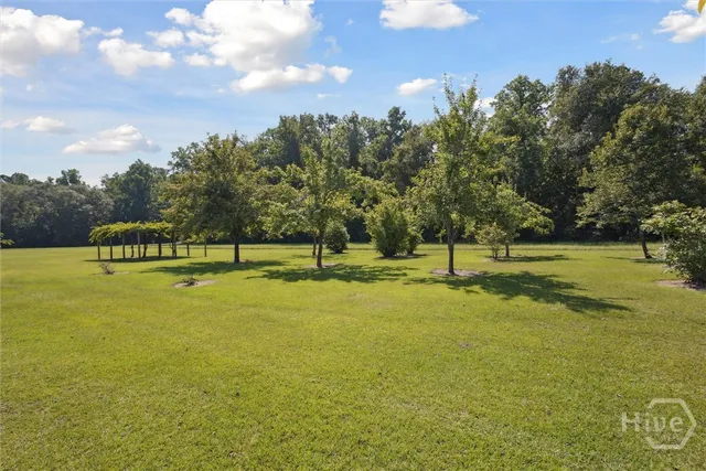 $1,550,000 | 19410 Highway 169, Claxton, GA 30417