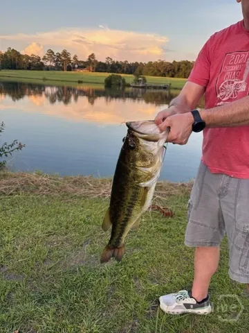 $1,550,000 | 19410 Highway 169, Claxton, GA 30417