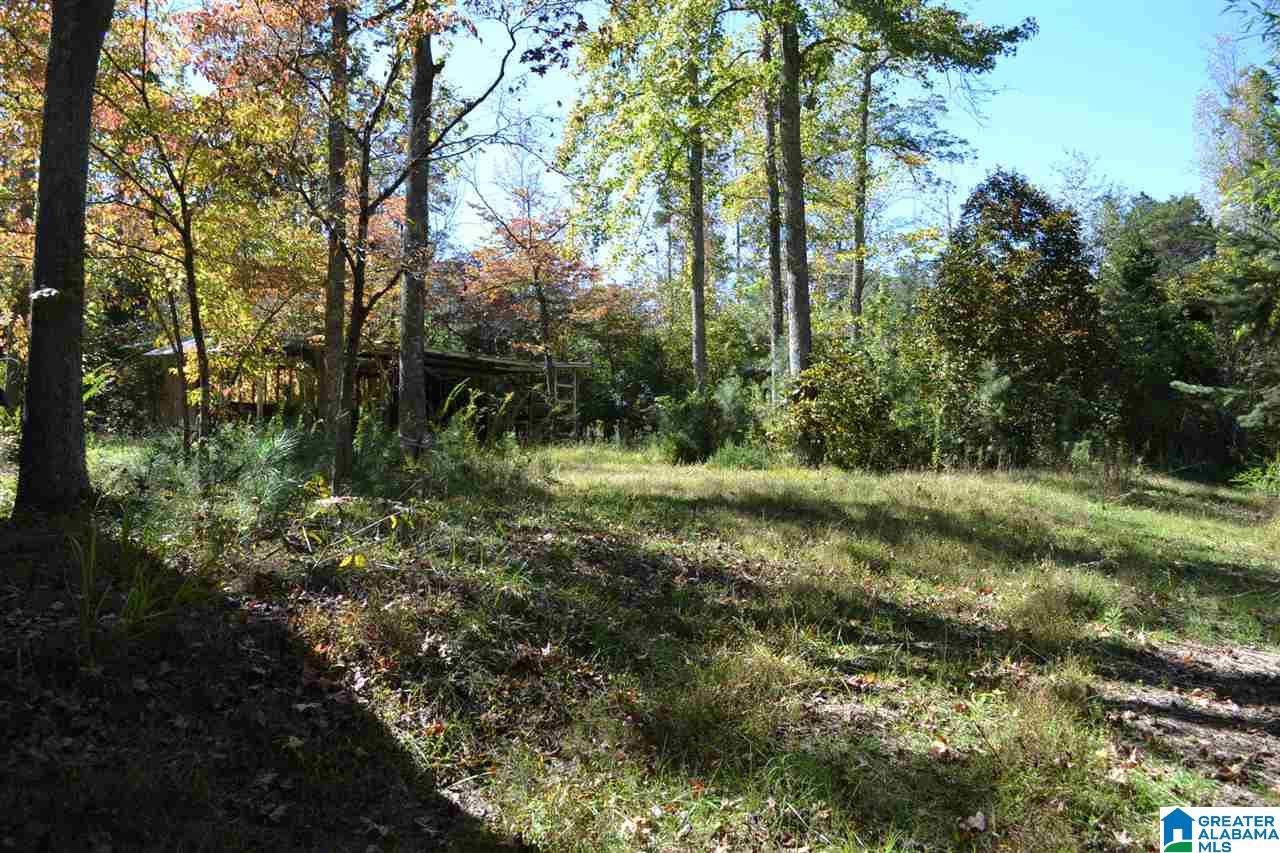 17871 Highway 75, Unit 5 7 ACRES Remlap, AL 35133 - Photo 13 of 23