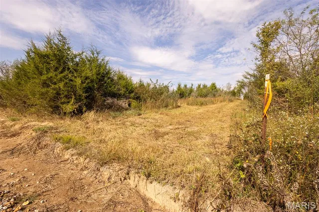 $89,000 | Lot 7 Washington, Perry, MO 63462