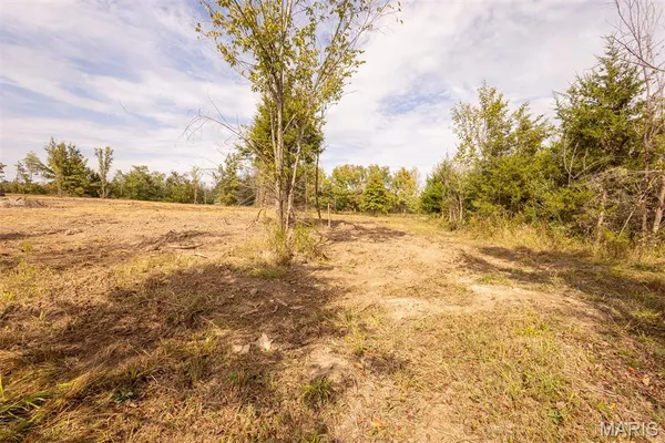 $89,000 | Lot 7 Washington, Perry, MO 63462