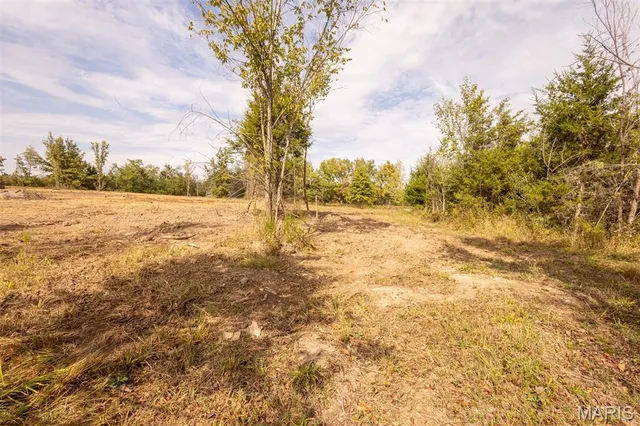$89,000 | Lot 7 Washington, Perry, MO 63462