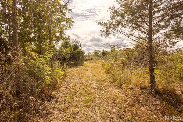 $89,000 | Lot 7 Washington, Perry, MO 63462