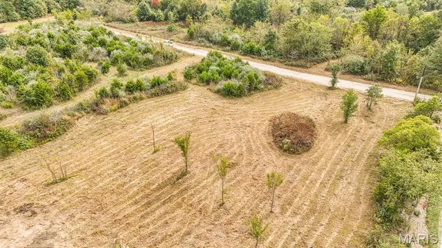 $89,000 | Lot 7 Washington, Perry, MO 63462