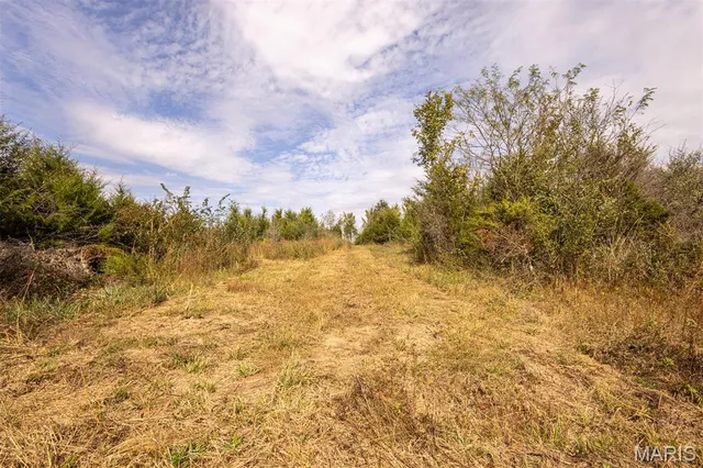 $89,000 | Lot 7 Washington, Perry, MO 63462