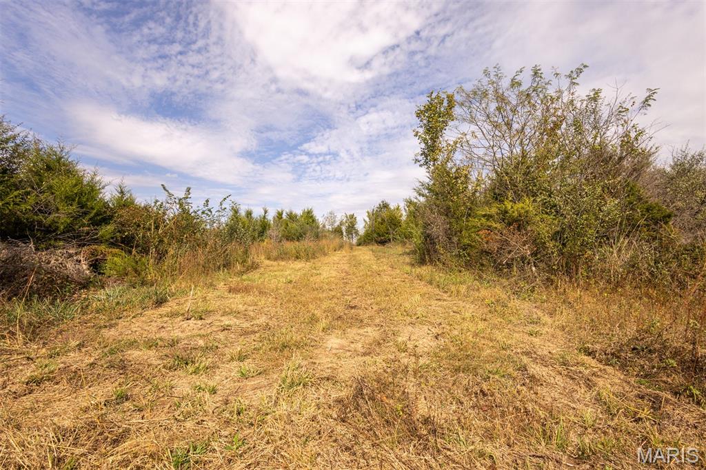 Lot 7 Washington Perry, MO 63462 - Photo 3 of 23