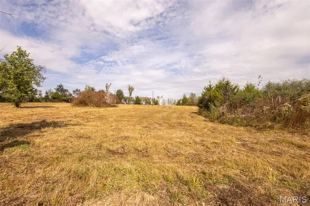 $89,000 | Lot 7 Washington, Perry, MO 63462