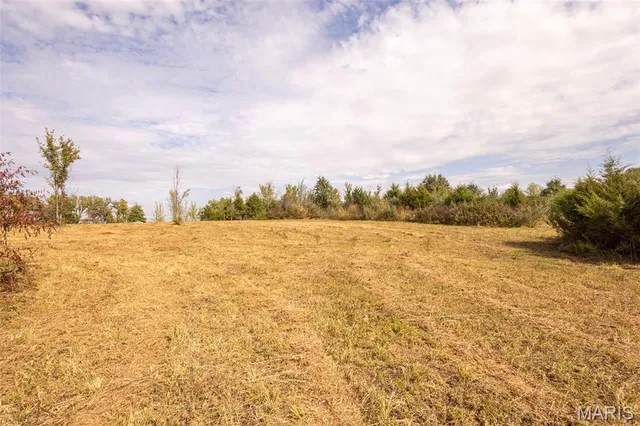 $89,000 | Lot 7 Washington, Perry, MO 63462
