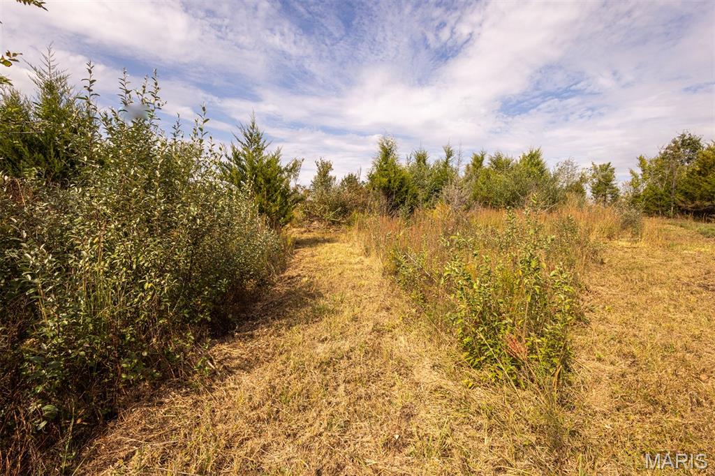 Lot 7 Washington Perry, MO 63462 - Photo 9 of 23