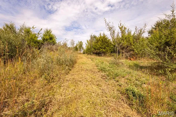 $89,000 | Lot 7 Washington, Perry, MO 63462