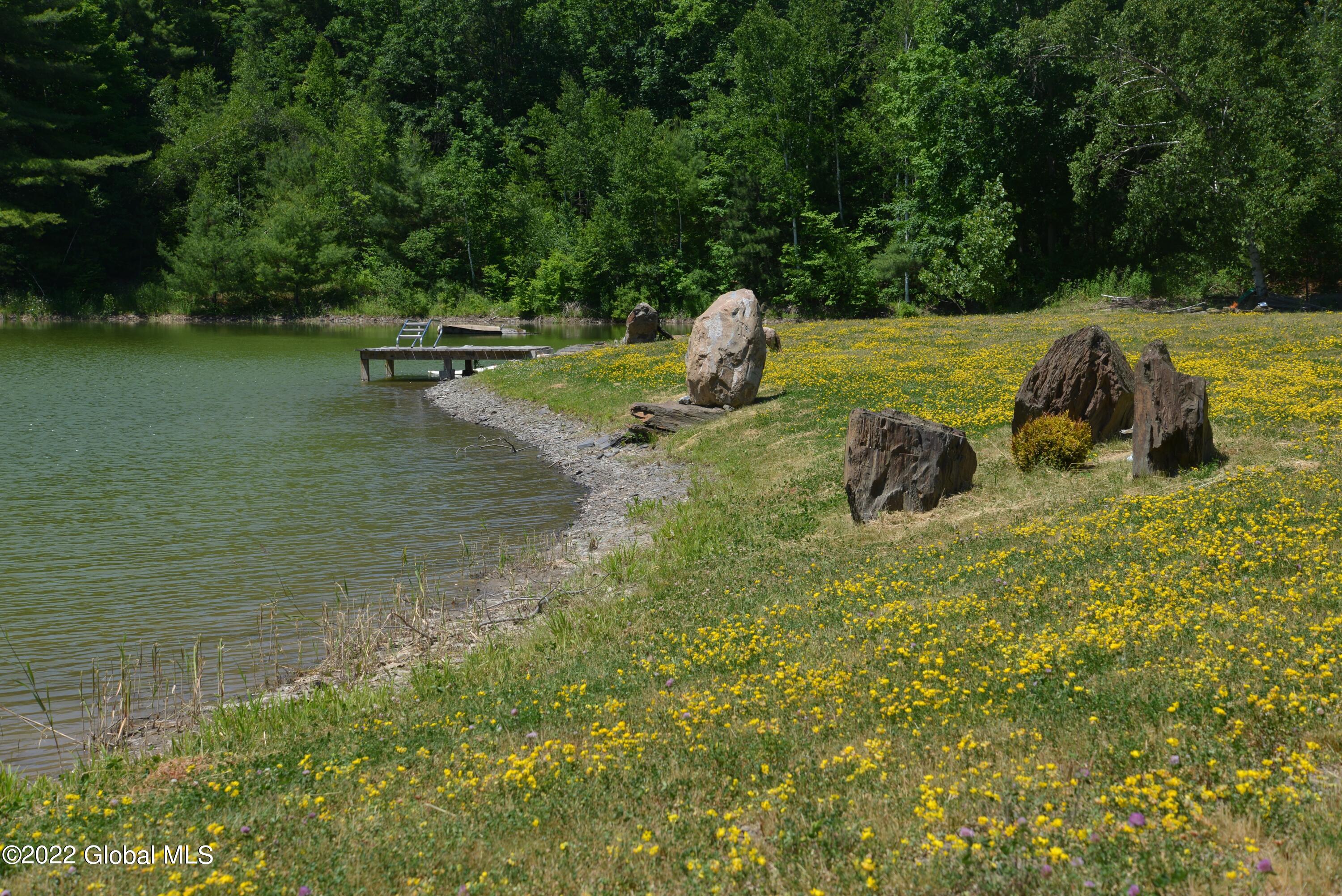 L3.3 Baker Road Granville, NY 12832 - Photo 13 of 21 Pond shore and dock