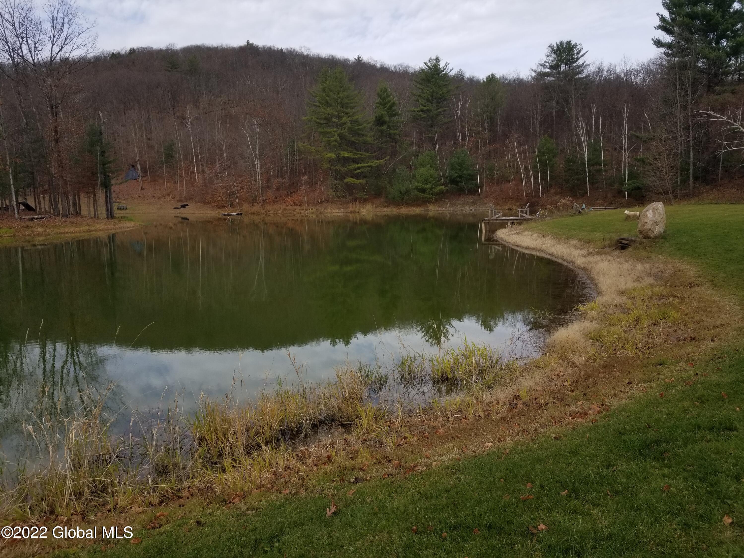 L3.3 Baker Road Granville, NY 12832 - Photo 14 of 21 Pond shoreline