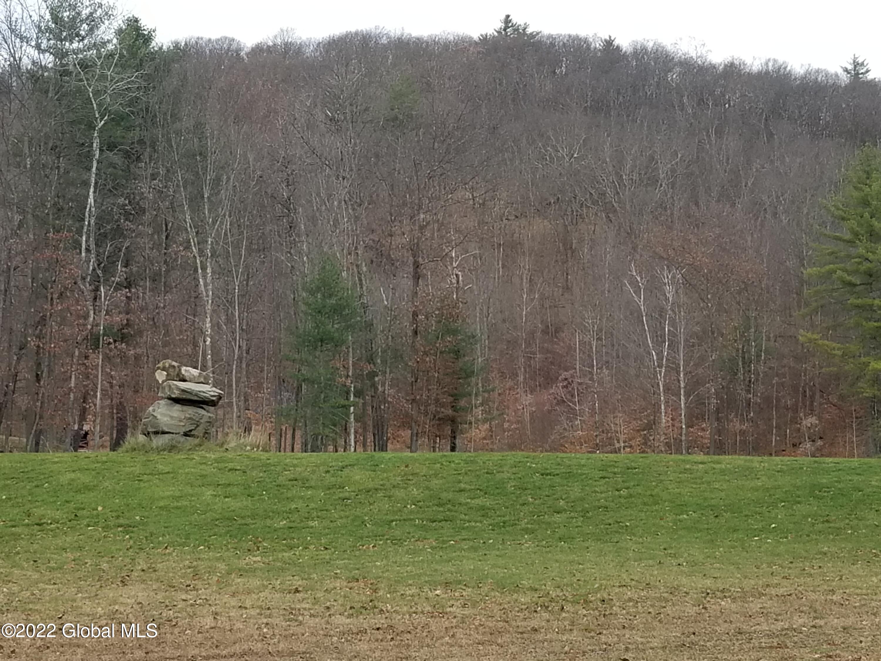 L3.3 Baker Road Granville, NY 12832 - Photo 18 of 21 Mt to the rear